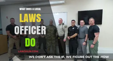 Understanding the Role of a Local Laws Officer in Your Community