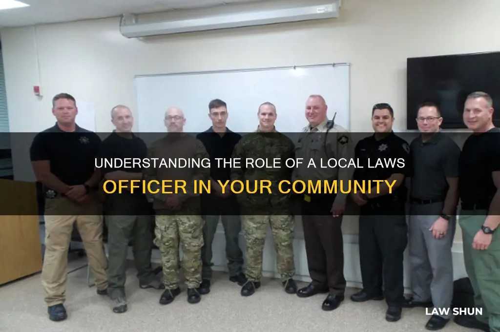 what does a local laws officer do