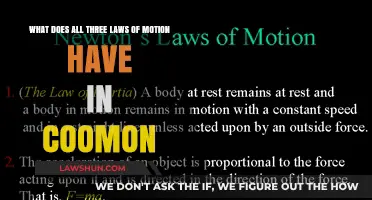 Uniting Newton's Laws: The Common Thread in Motion's Fundamental Principles