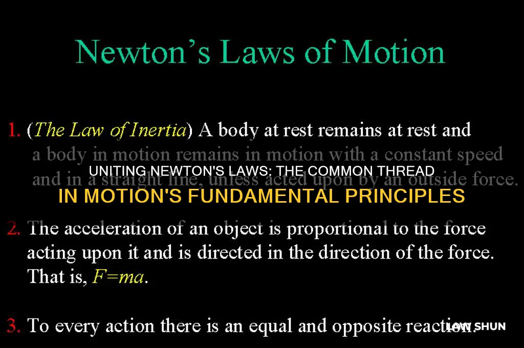 what does all three laws of motion have in coomon