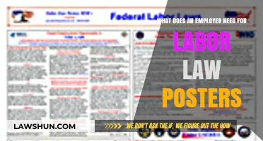 Essential Labor Law Posters: What Employers Need to Comply