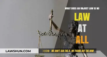 Unjust Laws: Why They Hold No Legitimacy or Authority
