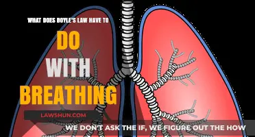 Boyle's Law and Breathing: Understanding the Science of Inhalation