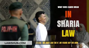 Understanding Caning in Sharia Law: Definition and Context