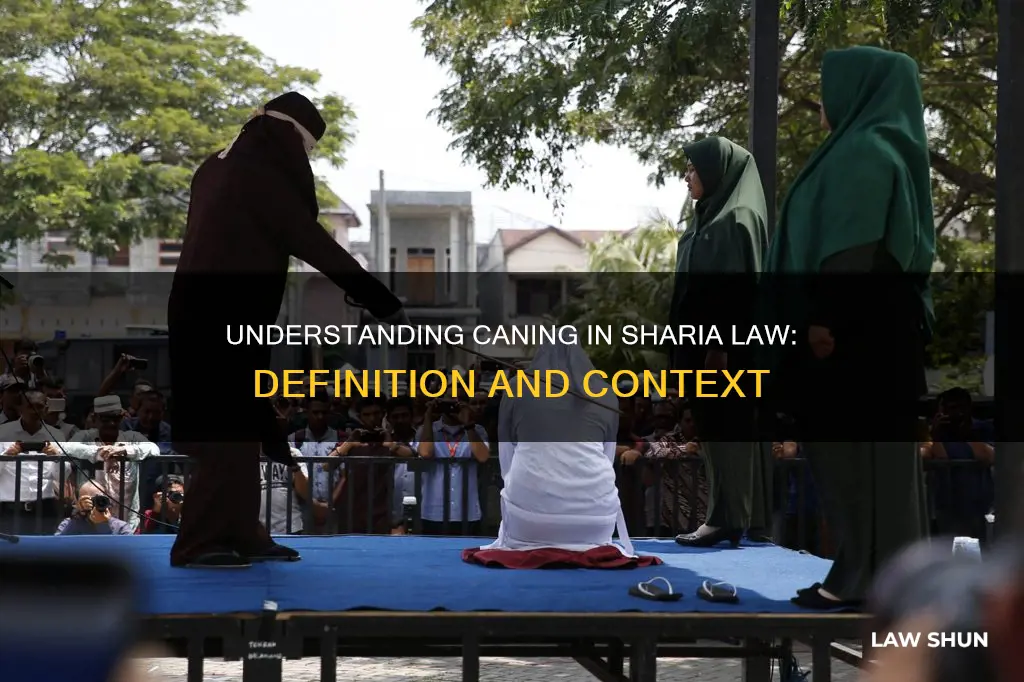 what does caned mean in sharia law