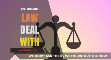 Case Law: Understanding Judicial Decisions and Their Impact