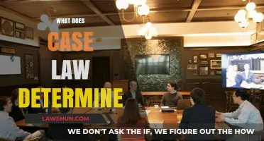 Case Law: Understanding Legal Precedents and Applications