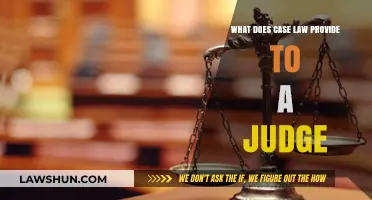 Case Law: A Judge's Guide to Fair Verdicts