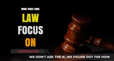 Understanding Civil Law: Key Focus Areas and Their Impact