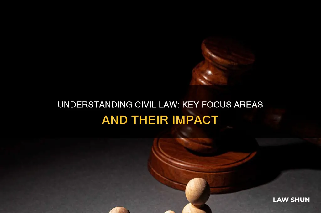 what does civil law focus on
