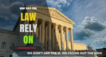 Understanding Civil Law: Foundations, Principles, and Key Reliance Factors