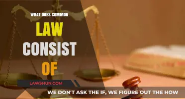 Understanding Common Law: Its Core Principles Explained