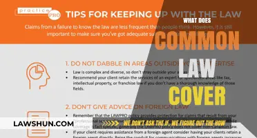 Understanding Common Law: Its Scope and Reach