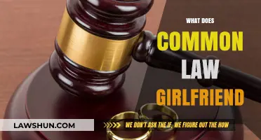 Understanding Common-Law Girlfriend Status