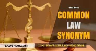 Understanding Common Law Synonyms and Their Legal Implications