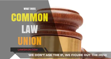 Understanding Common Law Unions: Legal Recognition