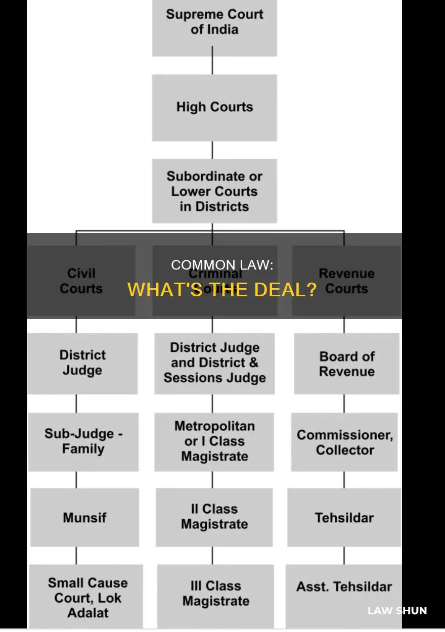 what does common laws govern