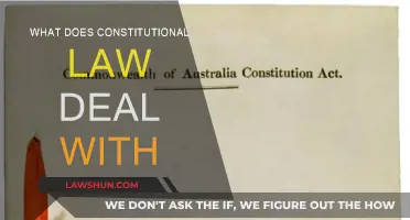 Exploring Constitutional Law: Understanding Our Nation's Foundation