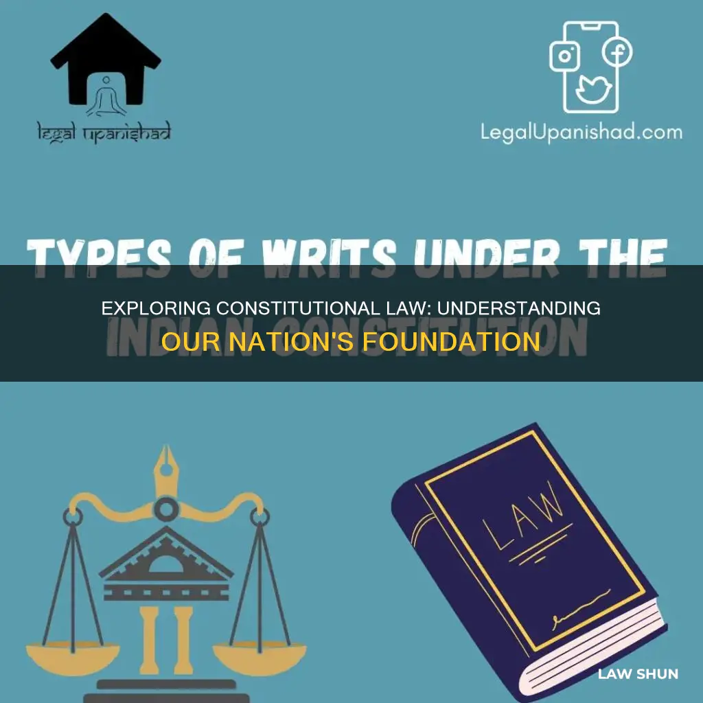 what does constitutional law deal with