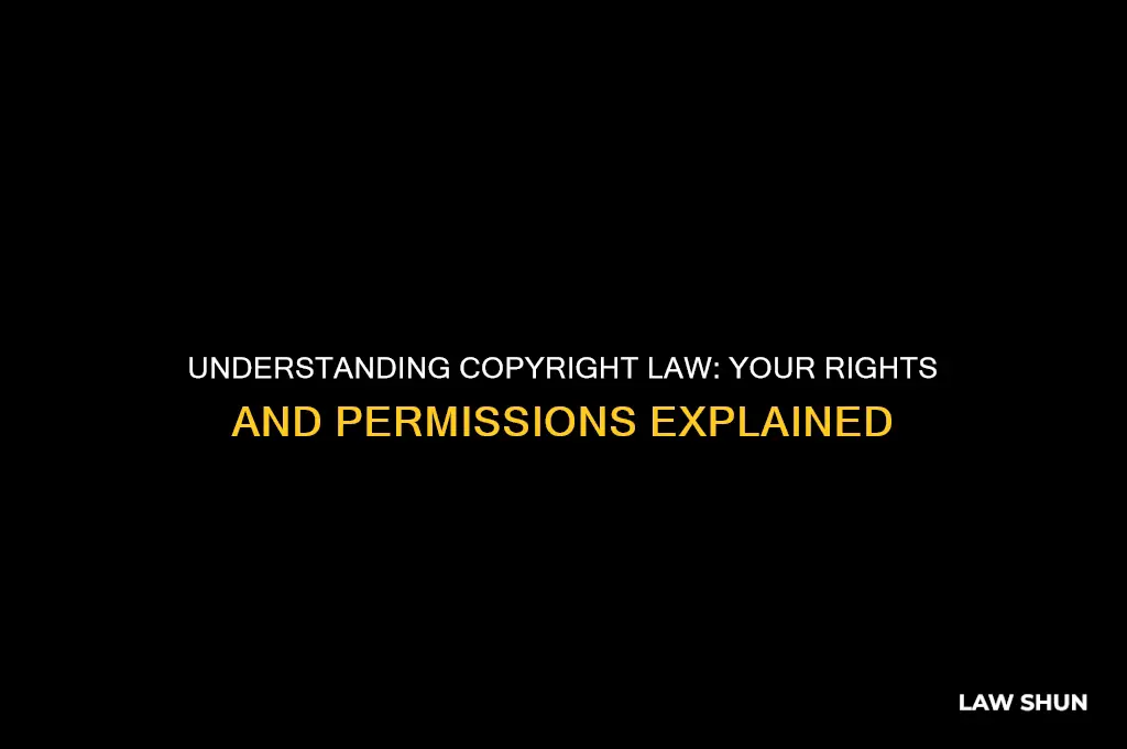 what does copyright law allow an individual