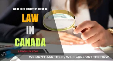 Exploring the Legal Discovery Process in Canada