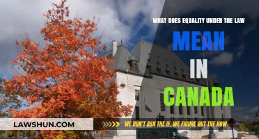 Equality Under Canadian Law: What Does It Mean?