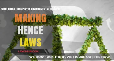 Ethics Shaping Environmental Laws: Moral Foundations of Green Decision-Making