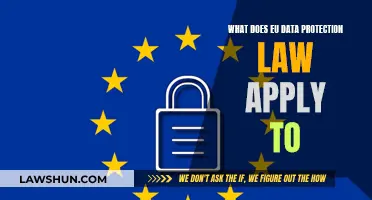 EU Data Protection Law: Who Does It Affect?