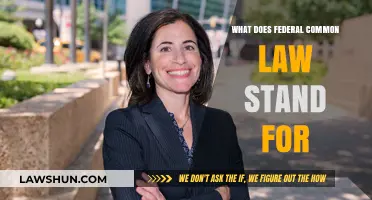 Federal Common Law: Understanding the United States' Legal Foundation