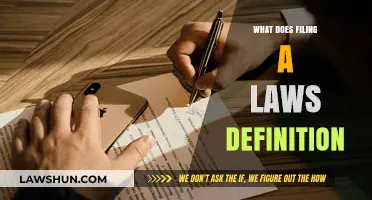 Understanding the Legal Process: What Does Filing a Lawsuit Mean?