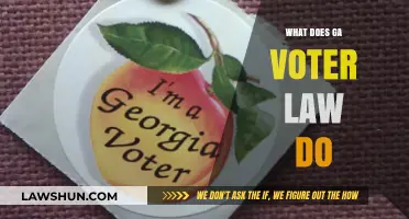 Understanding Georgia's Voter Law: Key Changes and Their Impact