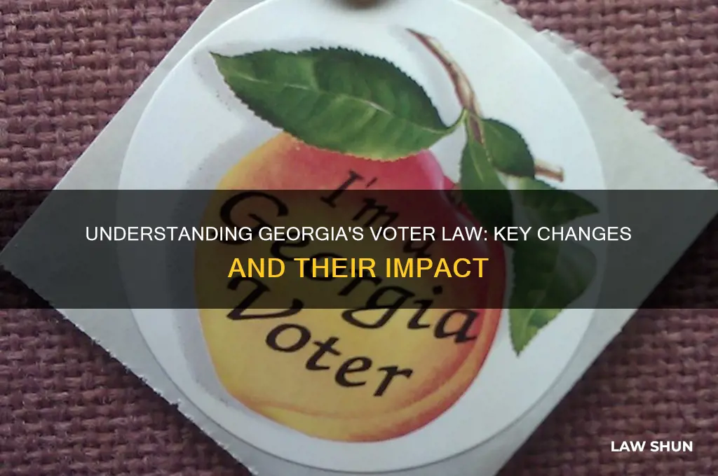 what does ga voter law do