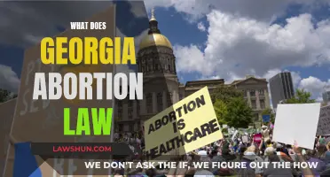 Georgia's Abortion Law: Understanding the Controversial Legislation