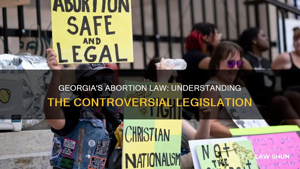 what does georgia abortion law