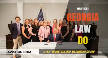 Understanding Georgia Law: Key Protections, Rights, and Legal Implications Explained