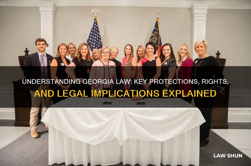 what does georgia law do