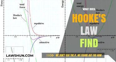 Exploring Hooke's Law: Discovering Elasticity and Material Behavior