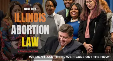 Illinois Abortion Law: Understanding the Legal Landscape