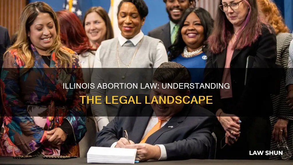 what does illinois abortion law