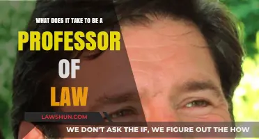 Becoming a Law Professor: Skills, Qualifications, and Career Path