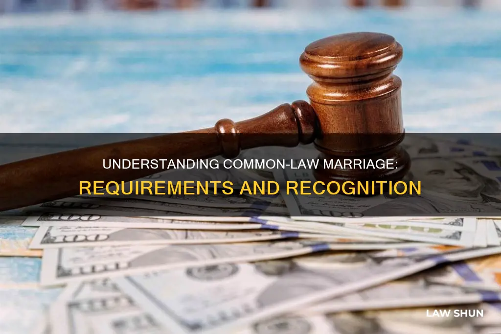what does it take to be common law married