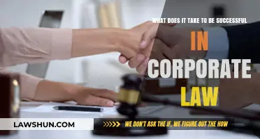 Mastering Corporate Law: Key Strategies for Success and Advancement