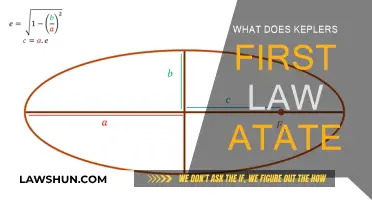 Kepler's First Law: Elliptical Orbits and the Sun