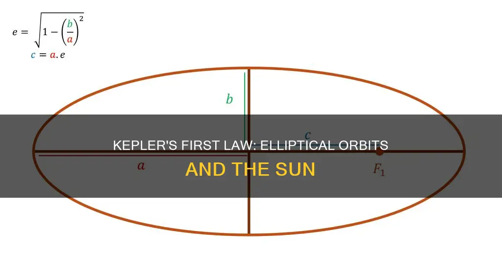 what does keplers first law atate