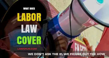 Understanding Labor Law: Key Protections and Rights for Workers
