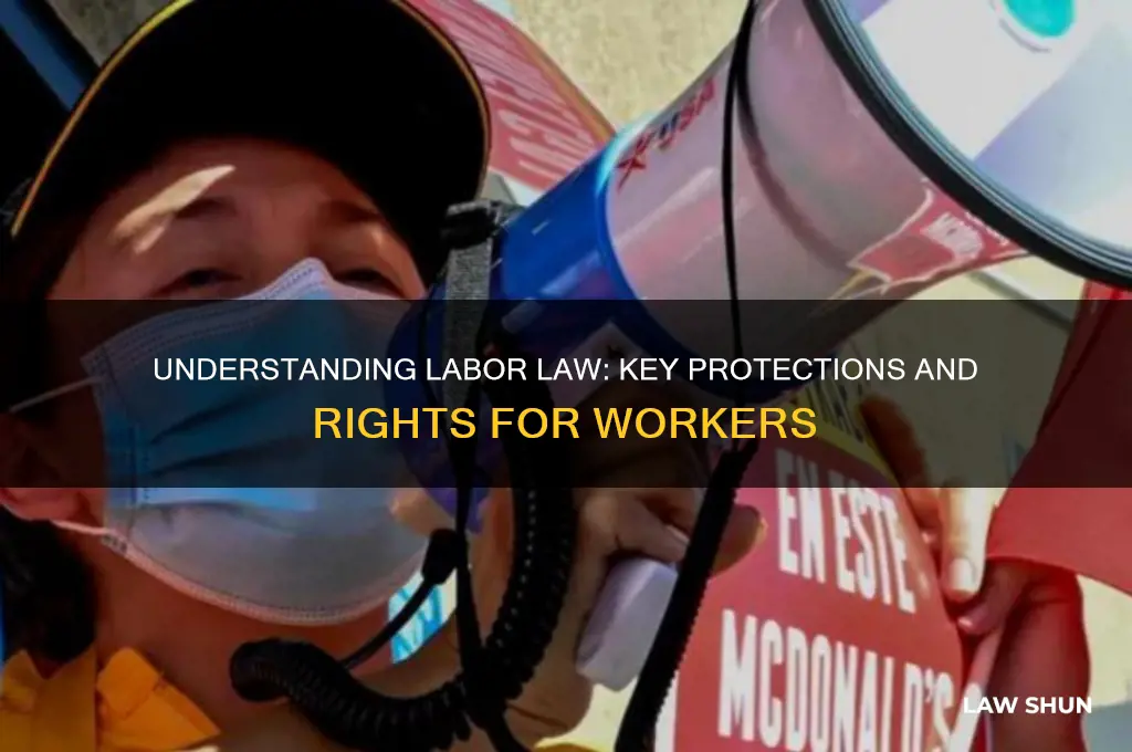 what does labor law cover