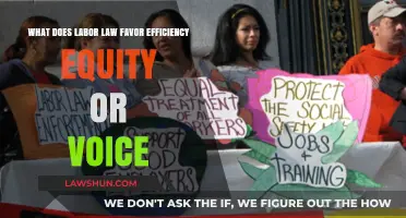 Labor Law Priorities: Efficiency, Equity, or Worker Voice?