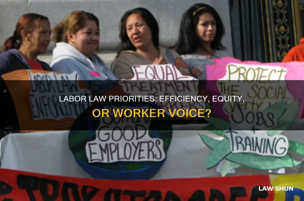 what does labor law favor efficiency equity or voice