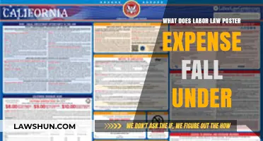 Understanding Labor Law Poster Expenses: Categorization and Compliance Costs
