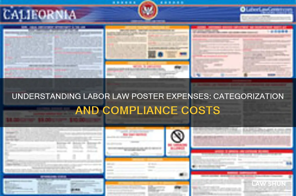 what does labor law poster expense fall under
